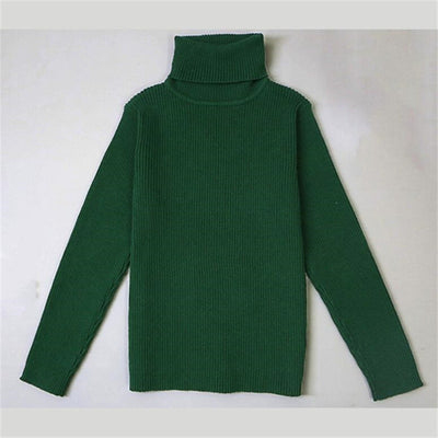 Winter Turtleneck Sweater